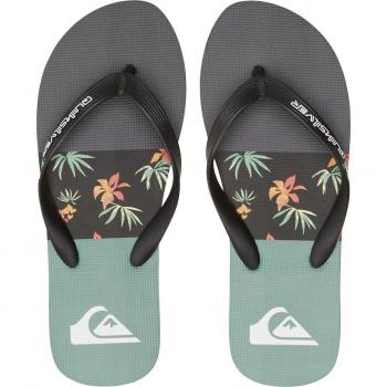Chanclas de hombre Molokai Stripe Quiksilver