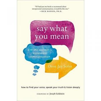 Say what you mean a mindful approach to nonviolent communication