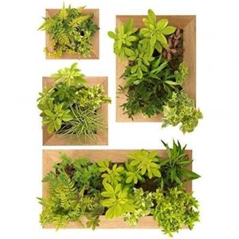 Plage Decoración Mural Adhesiva con Diseño Jardín Vertical, Vinilo, Verde, 48x3x68 cm