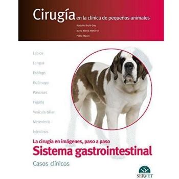 El aparato digestivo