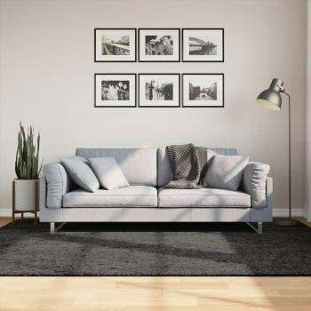 Alfombra pelo largo aspecto brillante gris antracita 160x230 cm Vidaxl