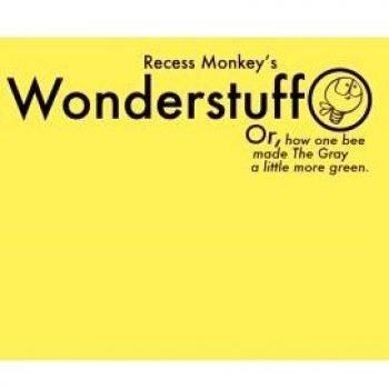 Wonderstuff 2 CD Set