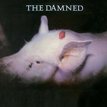 Strawberries - Damned