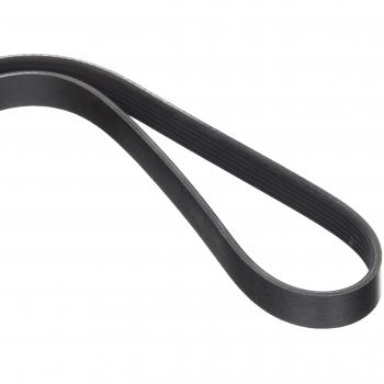 Dayco 6PK915 Correa Trapecial Poli V
