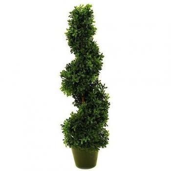 Euro Palms 82600009 - Planta en Espiral