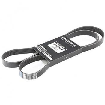Correa Trapecial Poli V RIDEX 305P0181 para VW, OPEL, BMW - Longitud 1685mm, Correa de Accesorios