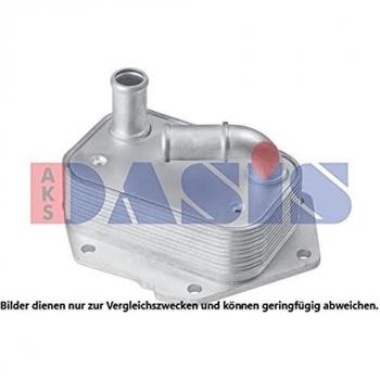 AKS Dasis 026012 N Motor bloques