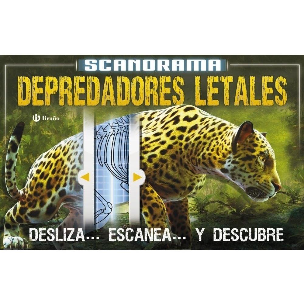 Imagen Principal