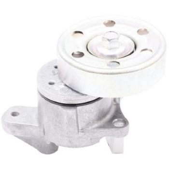 Tensor de correa poli V JAPANPARTS TS-202 para TOYOTA RAV4