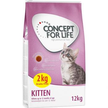 Concept for Life 12 kg pienso para gatos en oferta: 10 + 2 kg ¡gratis! - Fórmula especial Kitten (10 + 2 kg)