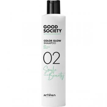 Champú Nutritivo Brillo y Protección para Cabello Teñido Artego Good Society Color Glow 250 ml
