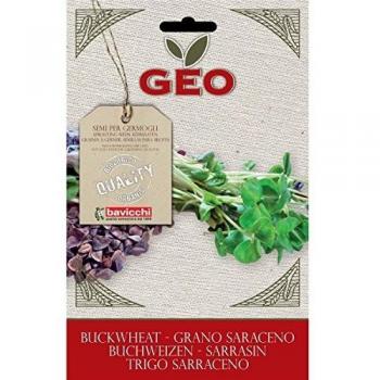 Geo Trigo Sarraceno Semillas para germinar, Marrón, 12.7x0.7x20 cm
