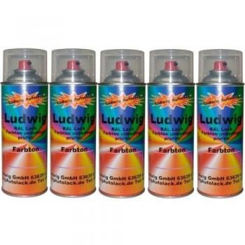 Bote de Spray de 5 400 ml Auto barniz brillante RAL 3013 Tomates Rojo