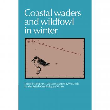 Coastal Waders and Wildfowl in Winter