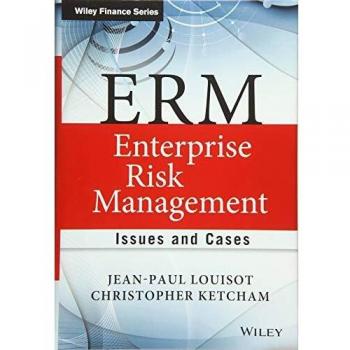 ERM Enterprise Risk Management Issues and Cases The Wiley Finance Series
