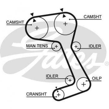 Correa dentada GATES Timing Belt 5242XS - Correa de distribución, longitud de 524 mm, ancho de 25 mm, número de dientes: 114, material sintético resistente al desgaste y alta temperatura, diseño para un