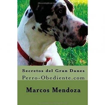 Secretos del Gran Danes: Perro-Obediente.com