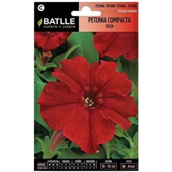 Semillas de Flores - Petunia Compacta rojo fuego - Batlle
