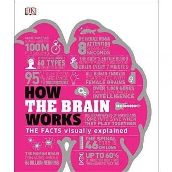 How the Brain Works: The Facts Visually Explained (Hardcover)