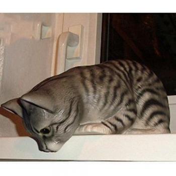 Gato Taburete Borde