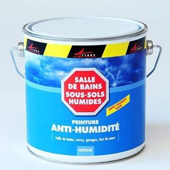 Pintura Antihumedad ARCASCREEN - 2.5 L (hasta 10 m²) - Anti Moho y Aislante para Baños y Sótanos