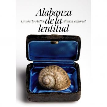 Alabanza de la lentitud