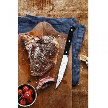 Set cuchillos carne Kansas 6 piezas