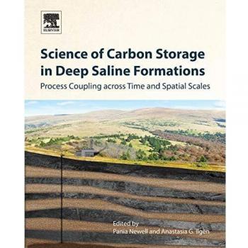 Science of Carbon Storage in Deep Saline Formations: Process Coupling across Time and Spatial Scales