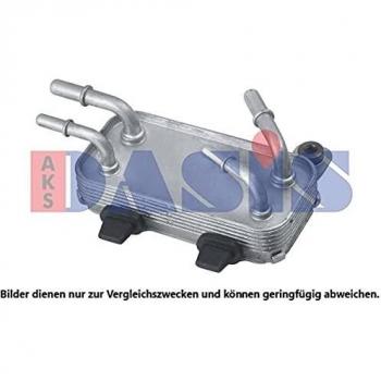 AKS Dasis 026007 N Motor bloques