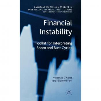 Financial Instability: Toolkit for Interpreting Boom and Bust Cycles