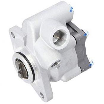Bomba de Dirección Hidráulica DT Spare Parts 4.68712