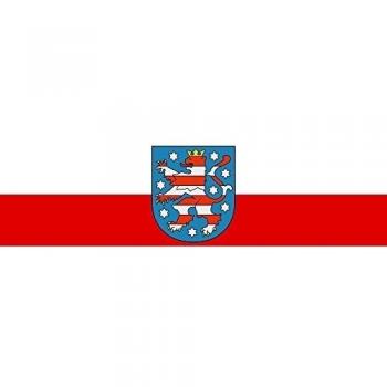 DIPLOMAT-FLAGS Turingia Bandera | Bandera Paisaje | 0.06m² | 20x30cm Banderas de Coche