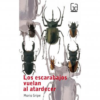 Y cosas