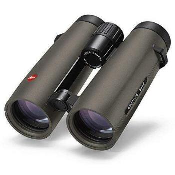 Leica Noctivid 8x42 Green Binocular 40386