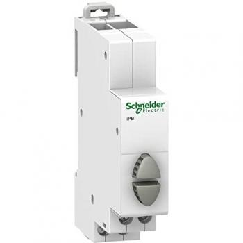 Schneider Electric A9E18035 Acti 9 iPB Doble Gris Pulsadores, 1NO-1NO, 82mm x 18mm x 71.5mm, Blanco