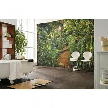 Mural fotográfico Jungle Trail 368x254 cm Komar Verde, papel pintado de jungla, tamaño: 368 x 254 cm (ancho x alto), incluye 8 piezas y pasta, fabricado en Alemania