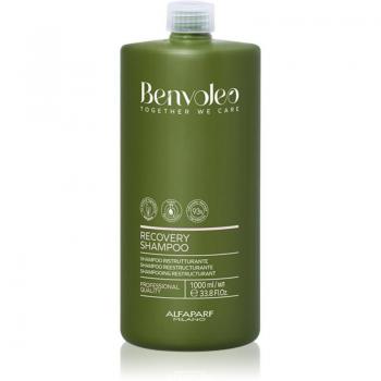 Alfaparf Milano Benvoleo Recovery Restructuring Shampoo for Damaged Hair 1000 ml