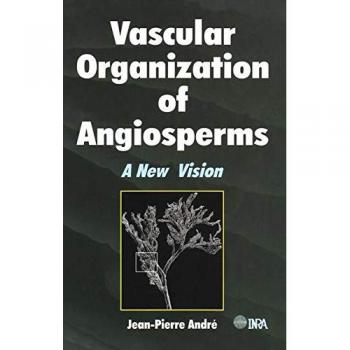 Vascular Organization of Angiosperms: A New Vision