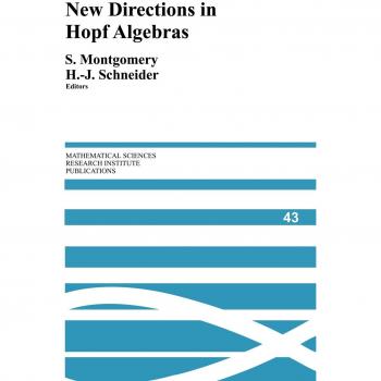 Nuevas Direcciones en Álgebras de Hopf (Publicaciones del Instituto de Investigación en Ciencias Matemáticas, vol.43)