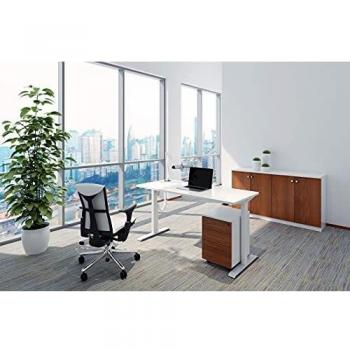 Escritorio Eléctrico Regulable en Altura Celexon Economy eAdjust-71121 - Negro, Incluye Mesa de 175x75 cm