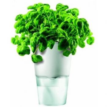 Maceta de riego automático, Color Blanco, 11 cm