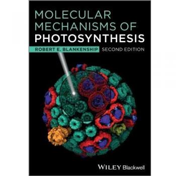Molecular Mechanisms of Photosynthesis