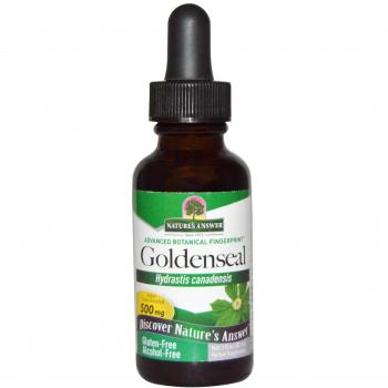 Alcohol-Free Goldenseal Root Extract, 500 mg - Nature's Answer (30 ml)