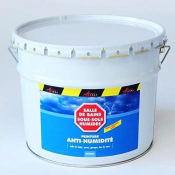 Pintura anti humedad y anti moho ARCASCREEN - 10 L (hasta 40 m²) para paredes de baño, sótano y pladur