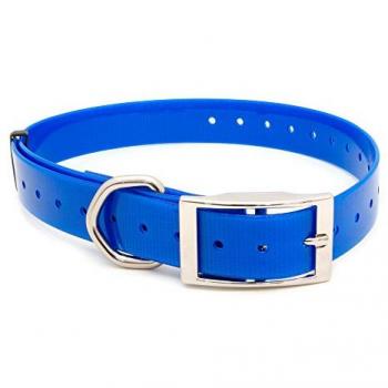 Collar para Perro Ibáñez de Poliuretano Resistentes y Ajustables, 25 mm, 2.5x70 cm, Azul Eléctrico