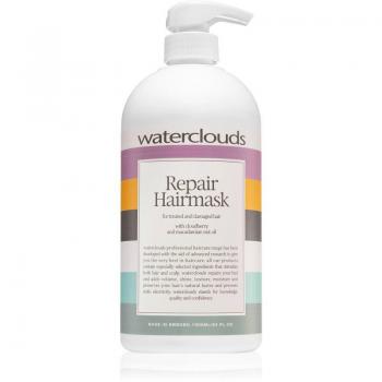 Waterclouds 1000ml Regenerating and Moisturizing Repair Hair Mask