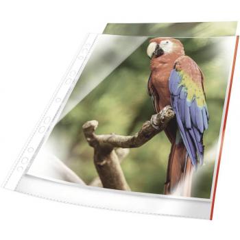 Funda multitaladro Durable Premium A4 Polipropileno 80 micras con borde color blanco (paquete de 10 unidades)