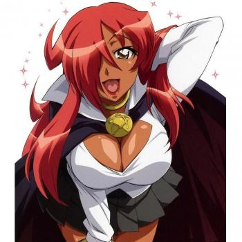 24x28 inch Zero no Tsukaima Princess no Rondo Silk Poster Seda Cartel 8GSD-570