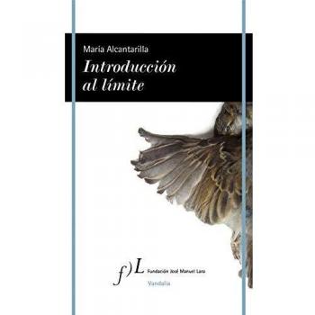 Introducción al límite