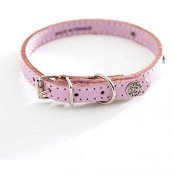 Collar acolchado para perro con placa Martin Sellier